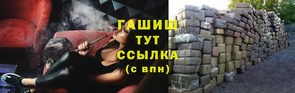стаф Аркадак
