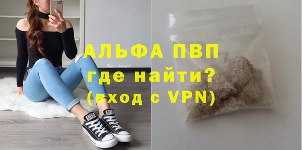 стаф Аркадак