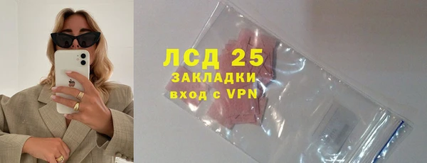 стаф Аркадак