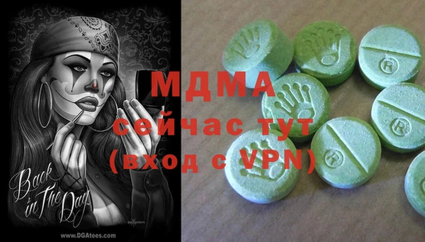 стаф Аркадак