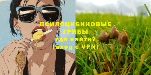 шишки Дмитриев