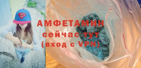 трава Гусиноозёрск